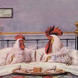 Hens  In Bed